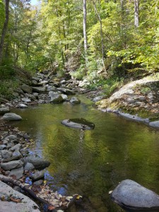 Rapidan River