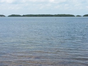 Islamorada Flays