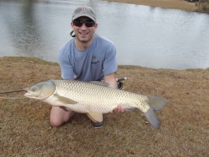 Proof positive that the grass carp can be successfully targeted on the fly rod!