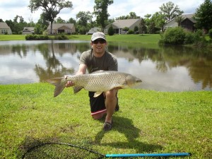 Grass Carp on the Fly