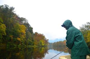 Fly fishing for Musky