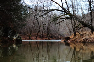 Moormans River