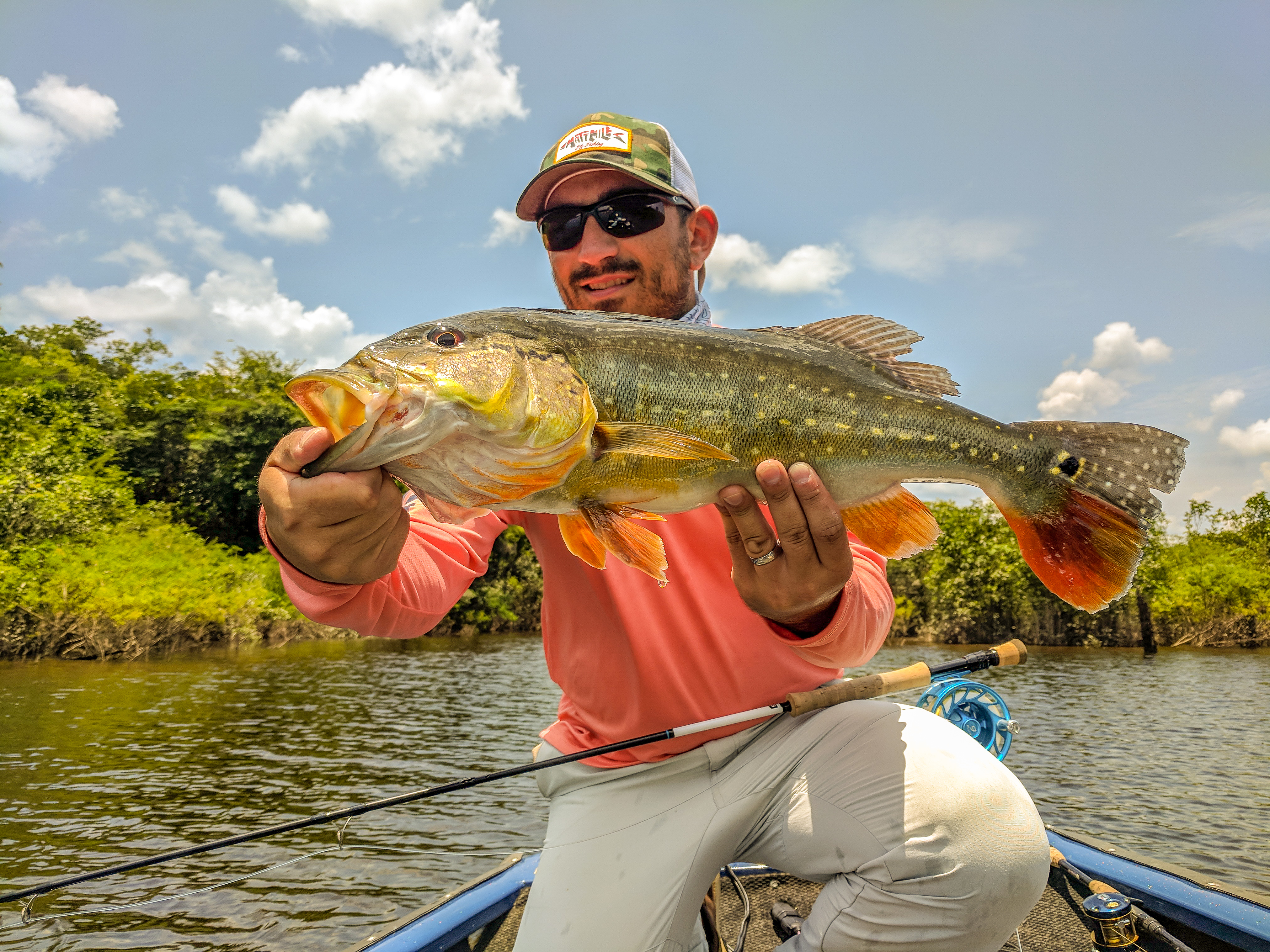 Peacock Bass - Acu